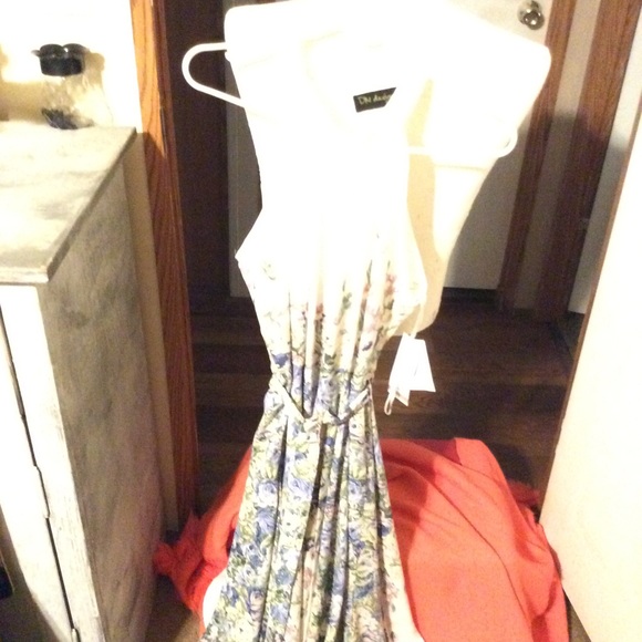 NWT DN Designs size 12 dress - Picture 11 of 16